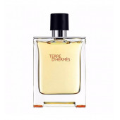 Hermes Terre D Hermes Edt 100 Ml - 2