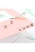 Taç Tektaş Zirconia Kadın Küpe - 2
