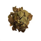 Sarmaşık Yaprağı Hedera Semen 250 gr, Derya Eren - 3