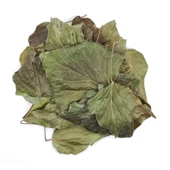 Sarmaşık Yaprağı Hedera Semen 50 gr, Derya Eren - 2