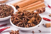 Yıldız Anason 100 gr Doğal Organik - 1