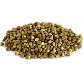 Çedene Tohumu 1 kg, Derya Eren thumbnail 3