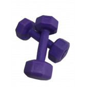 Leyaton 1 Kg Plastik Dambıl Set 2 Adet Mor Renk - 1