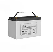 Leoch 12V 100 Ah Jel Akü - 1