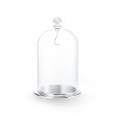 5527606 Swarovski Ev Dekorasyonu Bell Jar Dısplay, Large - 1
