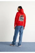 Kapşonlu SweatShirt hoodie fm1.1KA - 1