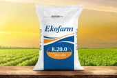 EKOFARM 8-20-0 25KG - 2