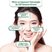 CENTECASSOL Lipozom Teknolojisi, Saf Centella, Bariyer Onarıcı, Nemlendirici, Kaşıntı Karşıtı Teca Calm Krem - 2