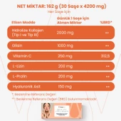 Wiserlife Beauty Collagen Hidrolize Kolajen Tip I-III Hyaluronik Asit Glisin L-Lizin ve Vitamin C İçeren Takviye Edici Gıda 30 thumbnail 5