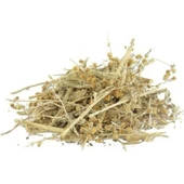Pelin Otu Artemisia absinthium 50 gr, Derya Eren - 1
