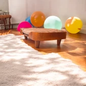 ED PET DİZAYN Barcelona 40x70 Kedi Köpek Yatağı Ceviz. Şık Tasarım Rahat Minderi Ile Beraber - 3