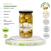 SARIMSAK DOLGULU YEŞİL ZEYTİN - 1