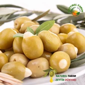 SARIMSAK DOLGULU YEŞİL ZEYTİN - 2