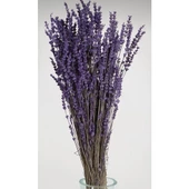 Boyanmış Lavanta Demeti Şoklanmış Dökülmeyen Mor 40-50 cm - 3