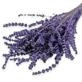 Boyanmış Lavanta Demeti Şoklanmış Dökülmeyen Mor 40-50 cm - 1