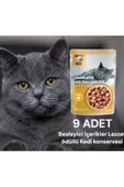 Miss Kis Premium Pouch Tavuklu Kedi Konservesi 9 ADET 100 gram - 4