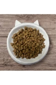 Kedi Köpek Kulak Figürlü Seramik Mama Kabı - 3