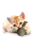 Kedi Hasır Çıngıraklı Oyun Topu Adet Kedi Oyuncağı - 1