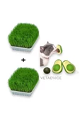 Kedi Çimi Seti 2 Adet Kedi Çimi 1 Adet Kedi Avokado catnip Set - 1
