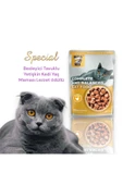 vet advice Miss Kis Premium Pouch Tavuklu Yetişkin Kedi Konservesi 100 gr thumbnail 2