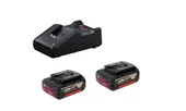 18V Başlangıç seti 2x5.0 Ah + GAL 18v-40 - 1