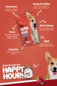 Reflex happy hour healty bones 60 gr köpek - 2