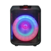 Kablosuz Mikrofonlu FM RGB TWS Çift 8inç Karaoke Bluetooth Taşınabilir Hoparlör GD-907 - 7