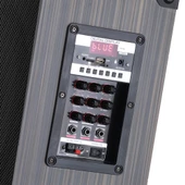 2 Kablosuz Mikrofonlu FM RGB TWS Çift 10inç Karaoke Bluetooth Bavul Taşınabilir Hoparlör LT-910 - 3