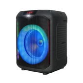 Kablosuz Mikrofonlu FM RGB TWS Çift 8inç Karaoke Bluetooth Taşınabilir Hoparlör GD-907 - 6