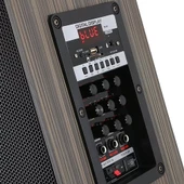 2 Kablosuz Mikrofonlu FM RGB TWS Çift 8inç Karaoke Bluetooth Bavul Taşınabilir Hoparlör LT-908 - 2