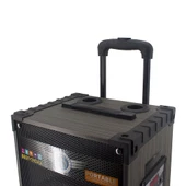 2 Kablosuz Mikrofonlu FM RGB TWS Çift 10inç Karaoke Bluetooth Bavul Taşınabilir Hoparlör LT-910 - 9