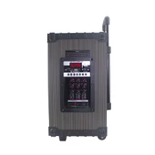 2 Kablosuz Mikrofonlu FM RGB TWS Çift 10inç Karaoke Bluetooth Bavul Taşınabilir Hoparlör LT-910 - 2