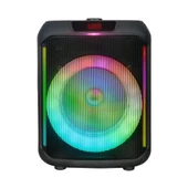 Kablosuz Mikrofonlu FM RGB TWS Çift 8inç Karaoke Bluetooth Taşınabilir Hoparlör GD-907 - 10