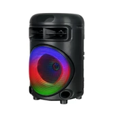 Kablolu Mikrofonlu FM RGB TWS Çift 6.5inç Karaoke Bluetooth Taşınabilir Hoparlör GD-692 - 6