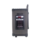 2 Kablosuz Mikrofonlu FM RGB TWS Çift 8inç Karaoke Bluetooth Bavul Taşınabilir Hoparlör LT-908 - 7