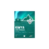 11. Sınıf Iceberg Kimya Soru Bankası - 1
