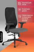 Ergolife Synchrosit 8 Ergonomik Ofis Sandalyesi | Ayarlanabilir Kolçaklı, Fileli, Öğrenci Sandalyesi -297.D.1.2F3 - 1