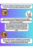 LAVİSTA Lavista Kedi & Köpek Taşıma Çantası Sanselo Pembe - 3