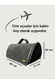 PETCIGO Kedi Ve Köpek Taşıma Çantası Nefes 10 Kg Taşımalı 40x30x23 Kabin Boy thumbnail 1