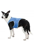 Trixie Köpek Soğutucu Yelek M 30cm Mavi 293096 - 1