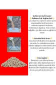 DaduMla Çamkum Doğal Kedi Kumu 7 Lt - 3