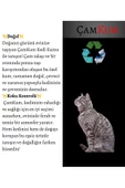 DaduMla Çamkum Doğal Kedi Kumu 7 Lt - 4