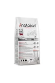 Anatolian premium Adult Salmon Somonlu Yetişkin Kedi Maması 2 Kg - 2