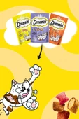 Dreamies Mix Somon Balıklı/peynirli Kedi Ödülü 60 gr - 3