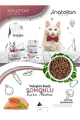 Anatolian premium Adult Salmon Somonlu Yetişkin Kedi Maması 2 Kg - 4