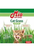 MİO Fileli Kedi Çimi - 1
