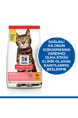 Hill's Feline Light Yetişkin Kuru Kedi Maması 1,5 Kg - 2