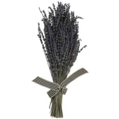 Lavanta Demeti 40-50 Cm 2 Adet - 1