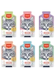 Karışık Aromalı Kedi Çorbası 50 gr x 6 Adet Sıvı Kedi Ödülü - 2