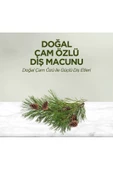 Eyüp Sabri Tuncer Doğal Çam Özlü Macunu 90ml - 5